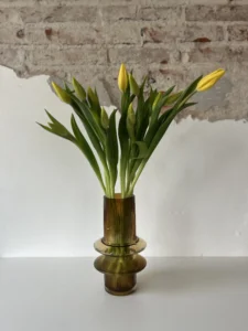Tulipanes - Image 3