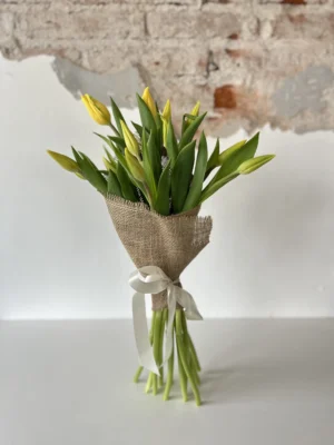 Tulipanes