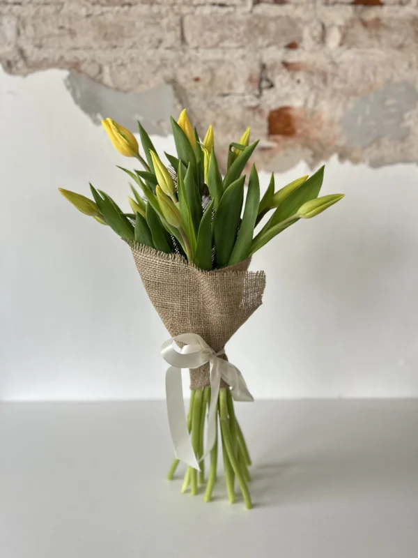Tulipanes